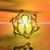 Lizette Ontiveros's profile image