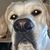 Tom Campbell's profile image