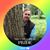 Fletch Novis's profile image