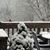 Sheryl Swanson LaRoi's profile image