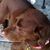 Beth Kahr's profile image