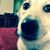 Michelle Holub's profile image