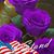 Diane Karam Burgoyne's profile image