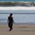 Tara B. Wells's profile image