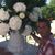 Stergios Tegasflowers Gotas's profile image