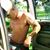 Buck Spivey's profile image
