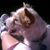 Susan McNabb's profile image