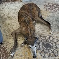 Karla Jones's profile image