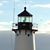 Nancy Ottman Phillips's profile image