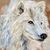 Mick Ohsen's profile image