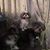 Gina Marie Lubatti's profile image