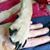 Carla Huggins Follin's profile image
