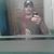 Steve Lance's profile image