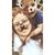 Pamela Sue's profile image