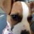 Jerry Shirley Connelly's profile image