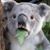 Vickie Choyce Rayhill's profile image