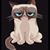 Penny Stancil-Livingston's profile image