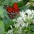 Carol Grabins's profile image