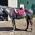 Cyndi Reid's profile image