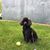 Carol Ruzow's profile image
