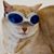 Trassy Linz's profile image