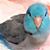 Gail Sachtleben's profile image