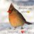 Amy Jane Osswald's profile image