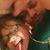 Ted Amata's profile image