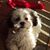 Shannon Hart's profile image