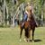 Jackie Martinez's profile image