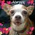 Laura Benavente's profile image