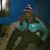 King Chello's profile image