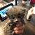 Rich Schonely's profile image