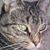 Lynn Birli's profile image