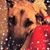 Julie Weitz Walsh's profile image