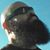 Alex Mastrangelo's profile image