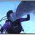 Laura Ferrell's profile image