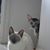 Christine O'Prey's profile image