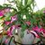 Shirley O'Neal Hines's profile image