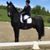 Charlene Lewey's profile image
