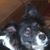 David Huffstetler's profile image