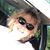JoNell Marsh Eidson's profile image