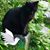 Christina Carhart's profile image
