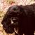 Jennifer Doornbos's profile image