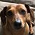 Nicole Weissinger Geistler's profile image