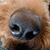 Sandy Pelletier Mountain's profile image