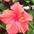 Gail Leigh Crockett-Myers's profile image