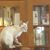 Mary Ann Ramandanes Kellogg's profile image