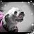 Leighsky Cowderoy's profile image