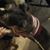 Christine Stanko Kelly's profile image